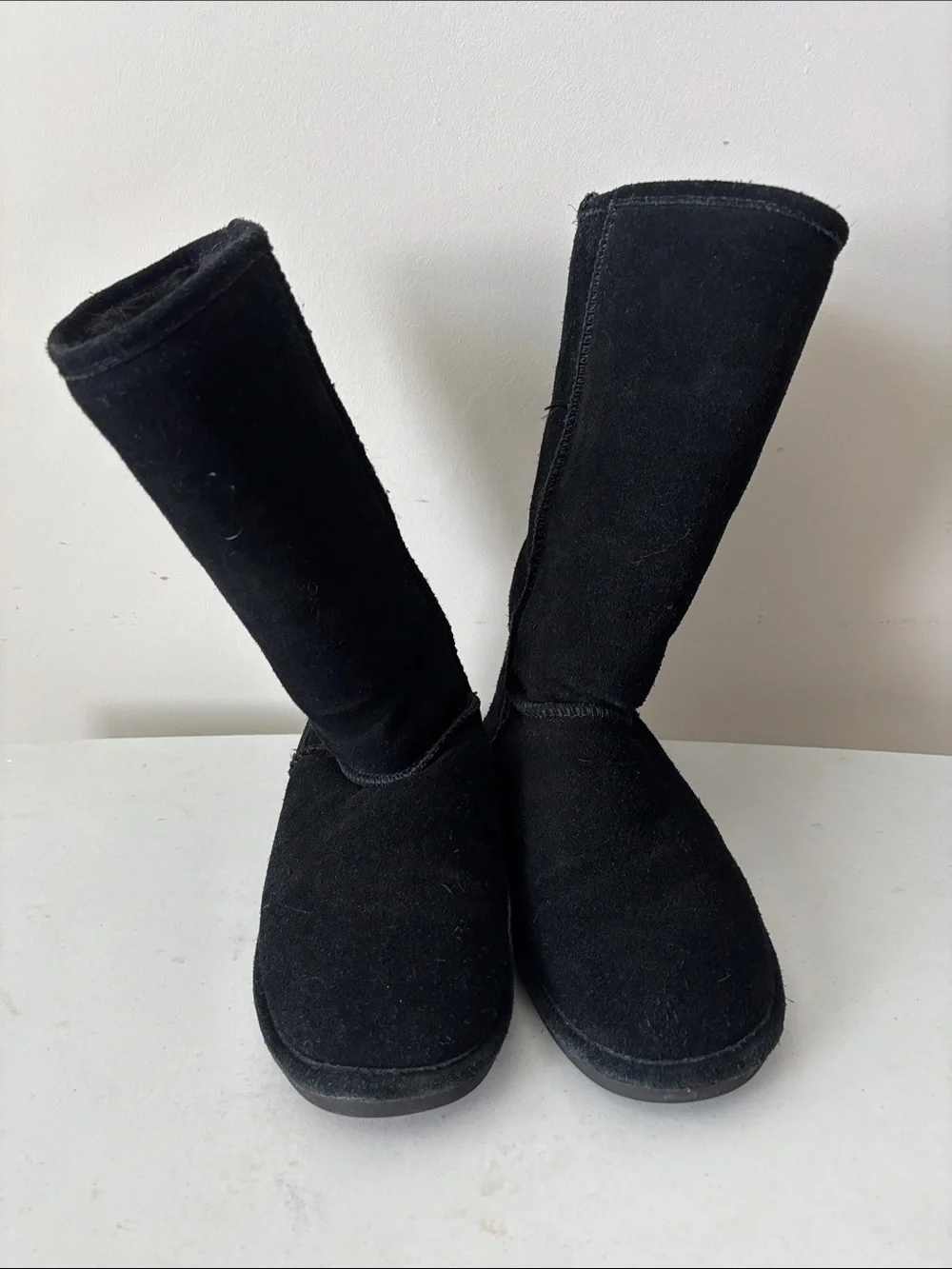 BearPaw bear paw